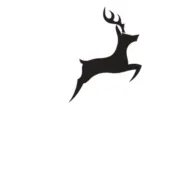 Wildcard.fi Logo