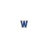 Wildcatadvisorygroup.com Favicon