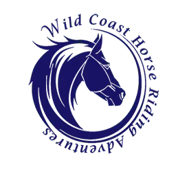 Wildcoasthorsebackadventures.com Favicon