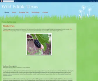 Wildedibletexas.com(Wild Edible Texas) Screenshot
