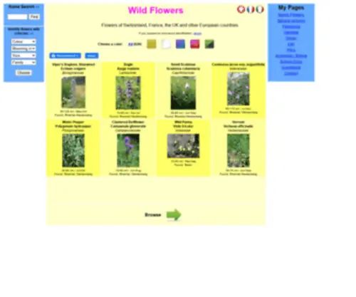 Wildestflowers.com(Wild Flowers) Screenshot