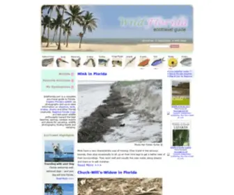 Wildflorida.com(Florida eco travel guide) Screenshot