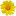 Wildflowers.co.il Favicon