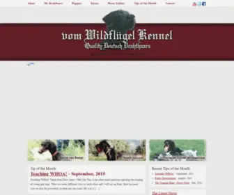 Wildflugel.com(Vom Wildflugel Kennel) Screenshot