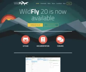 Wildfly.org(Java) Screenshot