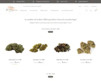 Wildgrass-CBD.fr(Achat Cannabis Légal CBD) Screenshot