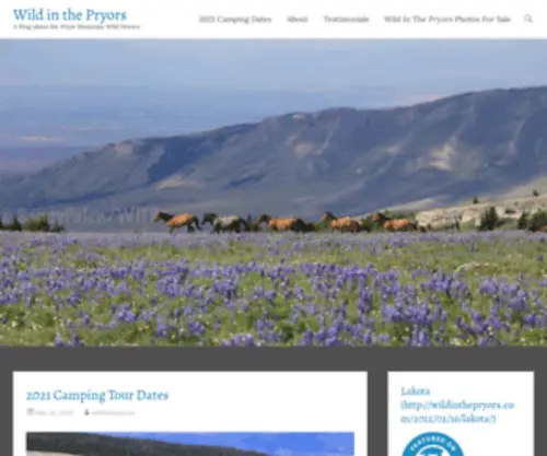 Wildinthepryors.com(A Blog about the Pryor Mountain Wild Horses) Screenshot