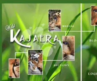 Wildkajaera.com(Wild Kajaera) Screenshot