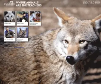 Wildlifeassociates.org(Wildlife Associates) Screenshot