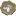 Wildlifecampus.com Favicon