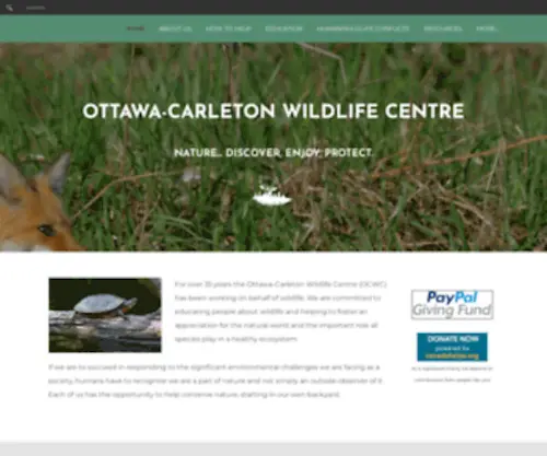 Wildlifeinfo.ca(Ottawa-Carleton Wildlife Centre) Screenshot