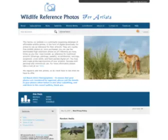 Wildlifereferencephotos.com(Wildlife Reference Photos for Artists) Screenshot