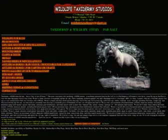 Wildlifetaxidermy.com(Taxidermy Mounts For Sale Grizzly Bear Rugs Brown Black Bear Rug) Screenshot