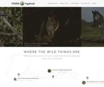 Wildlifevagabond.com(Wildlife Vagabond) Screenshot