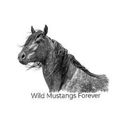 Wildmustangsforever.com Favicon