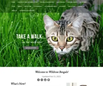 Wildrosebengals.ca(Bengal) Screenshot