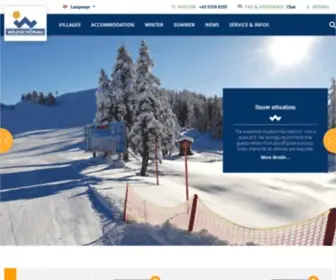 Wildschoenau.com(Discover the holiday region of the Wildschönau in Tirol. If hiking in summer or skiing in winter) Screenshot