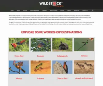 Wildstockphotos.com(Wildstockphotos) Screenshot