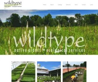 Wildtypeplants.com(Ecological Services) Screenshot