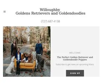 WilloughbyfarmGoldens.com(Goldendoodle Puppies) Screenshot