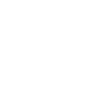 Willowbrook.org Logo
