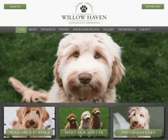 Willowhavencobberdogs.com(Willow Haven Australian Cobberdogs) Screenshot