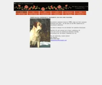 Willowrose.com(About Willowrose Labrador Retriever) Screenshot