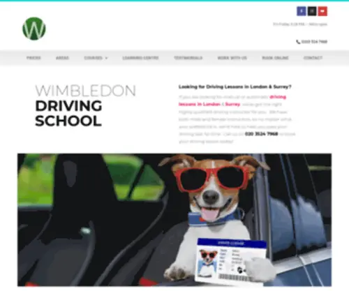 Wimbledondrivingschool.com(Driving Lessons in London & Surrey) Screenshot