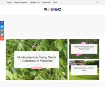 Winaz.org(Winaz) Screenshot