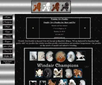 Windairpoodles.com(Windair Toy Poodles) Screenshot