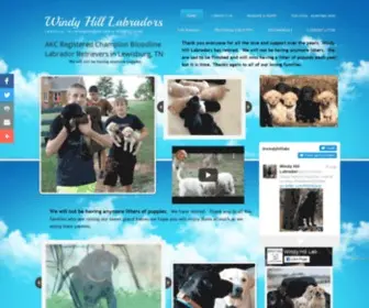 Windyhilllabs.com(Windy Hill Labradors) Screenshot