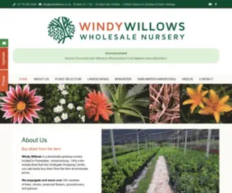 Windywillows.co.za(Windy Willows Wholesale Nursery) Screenshot