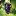 Wineandsommelier.com Favicon