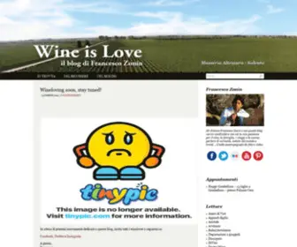 Wineislove.it(Wine is love) Screenshot