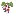 Winesellersltd.com Favicon