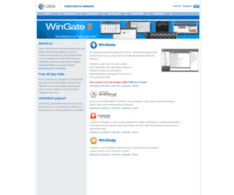 Wingate.com(WinGate Proxy Server) Screenshot