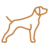 Wingsandwhistles.com Favicon