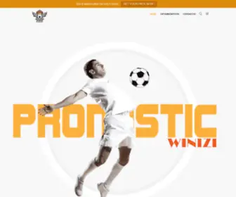 Winizi.net(Winizi) Screenshot