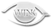 Winkasl.com Favicon