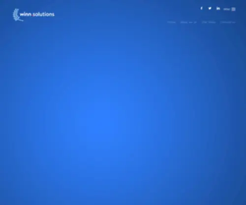 Winn.solutions(Technical Growth Agency) Screenshot