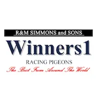 Winners1.com.au Favicon