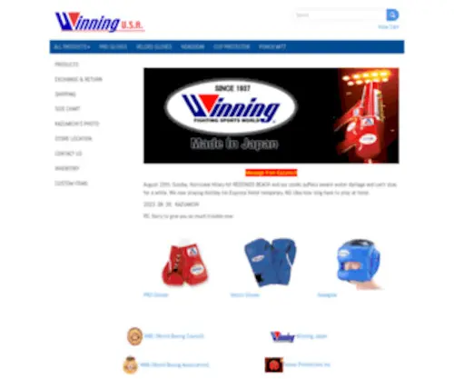 Winning-Usa.com Screenshot