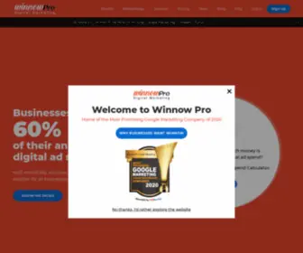 Winnowpro.com(Digitally Essential for B2C Businesses) Screenshot