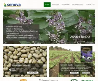 Winter-Beans.co.uk(Winter Beans) Screenshot