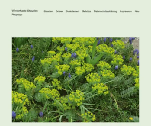 Winterharte-Stauden.com(Winterharte Stauden im Garten) Screenshot
