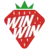 WinWin.ie Favicon