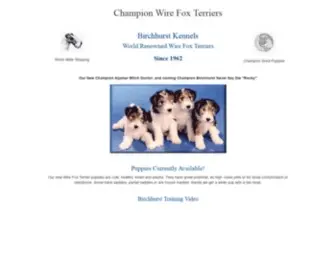 Wirefox-Terriers.com(Wire Fox Terrier) Screenshot