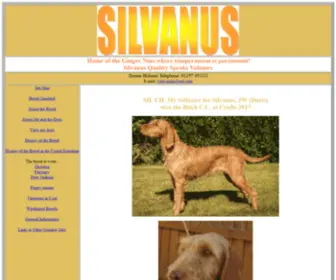 Wirevizslas.com(Silvanus) Screenshot