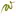 Wiriehorn.ch Favicon