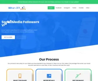 Wise-XY.com(Buy All Social Media Followers and Fast Likes in One Place) Screenshot